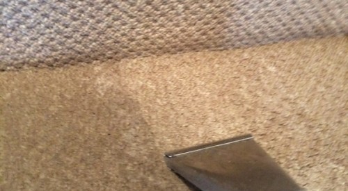 Carpet Cleaning Services in Bolton