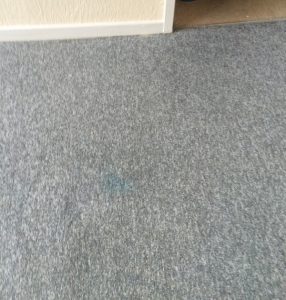 Commercial carpet cleaning Bury